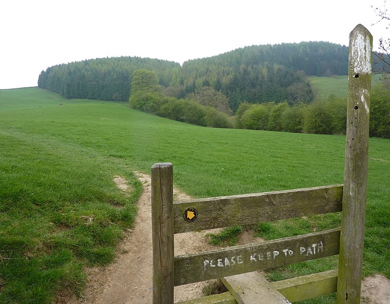 File:Path below Bleakley Plantation - geograph.org.uk - 2362962.jpg