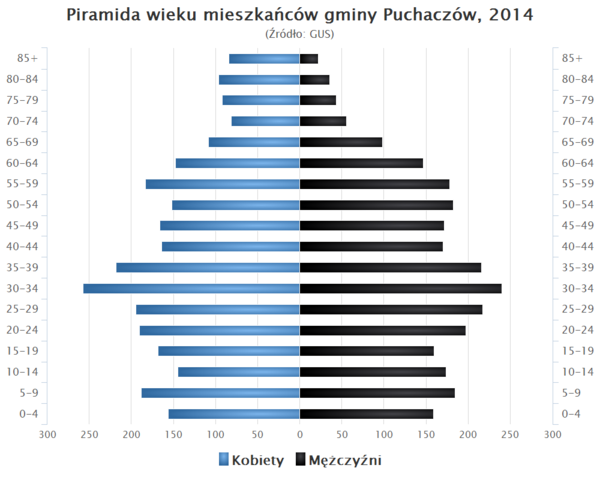 Piramida wieku Gmina Puchaczow.png
