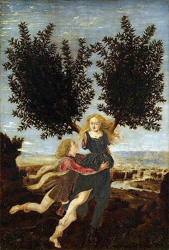 Apollo and Daphne (c. 1470–1480) by Antonio del Pollaiuolo depicts one tale of transformation in the Metamorphoses—Apollo lusts after Daphne, but she is changed into a bay laurel and escapes him.