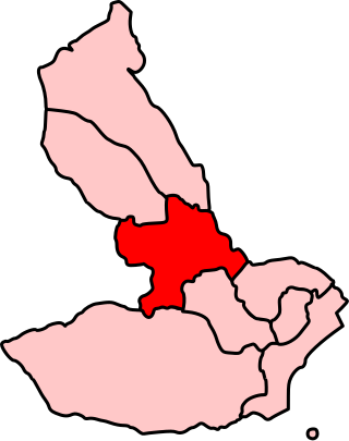 <span class="mw-page-title-main">Pontypridd (Senedd constituency)</span> Constituency of the Senedd