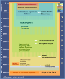 Timescale Precambrian Evolution of Life.png