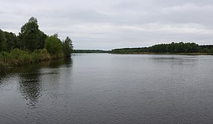 Pripyat River in Chernobyl 2019 G2.jpg