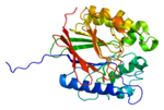 Thumbnail for Tartrate-resistant acid phosphatase