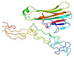Protein LTA PDB 1tnr.png