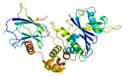 Ақуыз TCEB1 PDB 1lm8.png