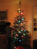 Christmas tree (Pseudotsuga menziesii), Canada