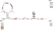 RT-5 Secondary structure taken from the Rfam database. Family RF03026