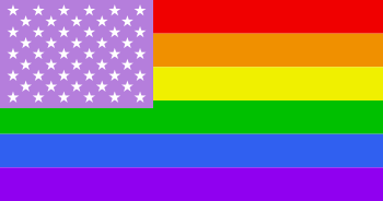A variant of the rainbow flag, symbolizing the...
