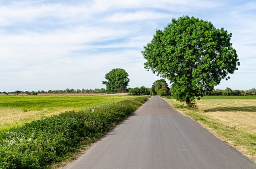 Rheinberg, Orsoy-Land, 2020-06 CN-02