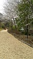 Road covered with woodchips in Jade Garden.jpg