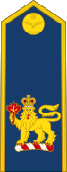 File:Royal Canadian Air Force (Commander-in-Chief of the Canadian Armed Forces).svg