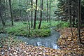 Čeština: Údolí Rudolfovského potoka, okres České Budějovice. English: Valley of Rudolfovský stream, České Budějovice District, South Bohemia, Czechia.