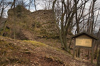 Wildenstein Castle (Palatinate)