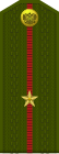 Russia-Army-OF-1a-1994-field.svg