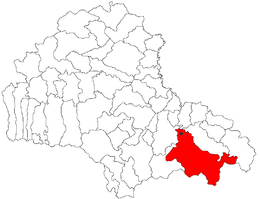 Săcele - Carte