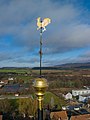 * Nomination Weathercock on the spire of the Catholic Parish Church of St. Kilian in Scheßlitz --Ermell 08:50, 6 December 2021 (UTC) * Promotion Good quality. --Imehling 10:18, 6 December 2021 (UTC)
