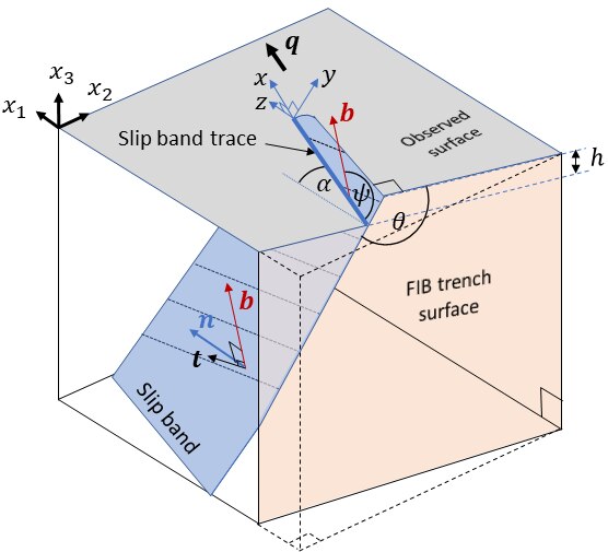 File:Schematic of a slip band.tif