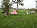 Art in the Countryside 2005: 't Keu ("The pig")