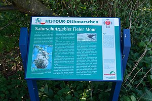 Schleswig-Holstein, Nordhastedt, Fieler Moor NIK 0469.JPG