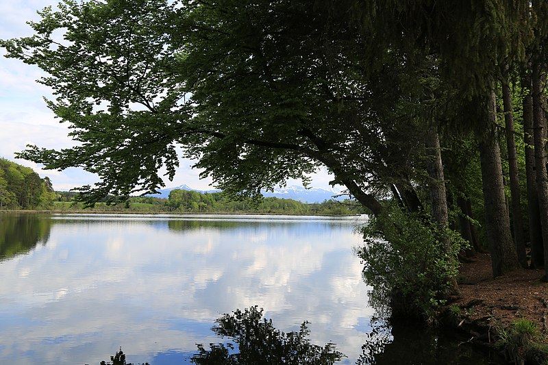 File:Schloßsee Blick vom Steg 03.jpg