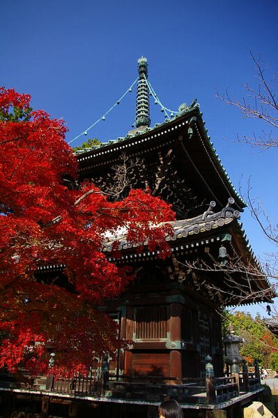 File:Seiryoji tahoto.jpg