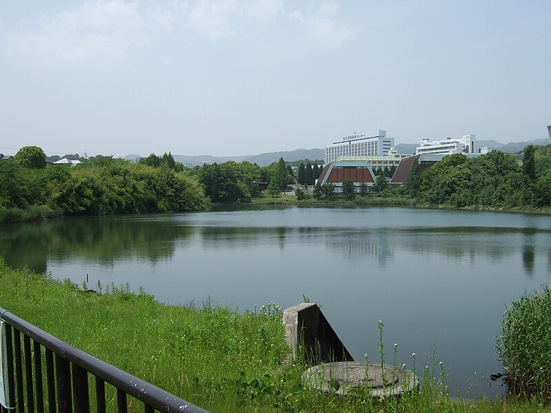 File:Senri kita park hasumaike.jpg