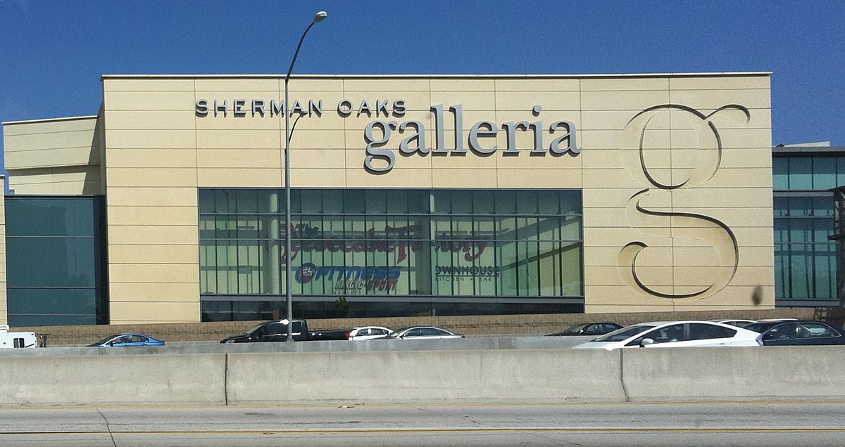 Galleria's new owner reports 24 new leases since purchasing the mall in  August, News