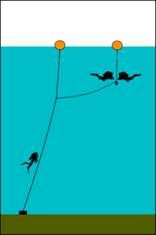 A shotline with a lazy shot - a second float with a short weighted line tethered to it at just below the depth of the deepest long decompression stop. Shotline lazy shot.png