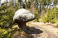 Rock mushrooms (Polish: Skalne Grzyby)