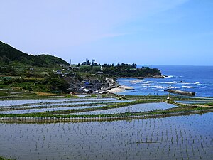 袖志の棚田 Wikipedia