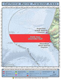 South Cape Mendocino State Marine Reserve Offshore marine protected area located off Cape Mendocino, California