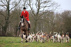 South Wold Hunt.jpg