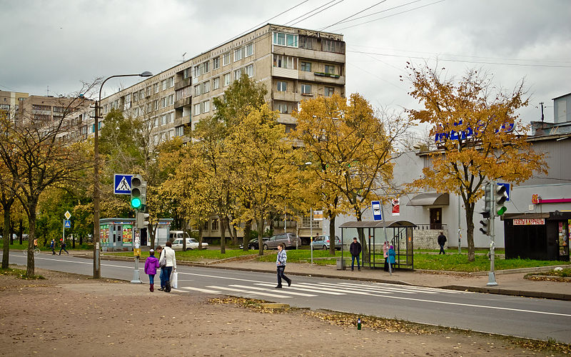 File:Spb Vavilovykh street 12.jpg