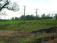 The site of the cholera pit near Spier's Old School Grounds. Spier's Cholera Pit 2012.JPG