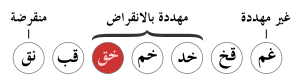 كولاكانث غرب المحيط الهندي: علم التشريح وعلم وظائف الأعضاء, الموطن والسلوك, السكان والحفظ