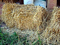 Bale of wheat straw