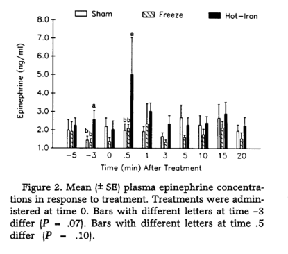 Mean plasma epinephrine concentrations in calves subjected to freeze, hot, or sham branding. All brands were administered at time zero. Stress Hormone Concentration during Branding graph.png