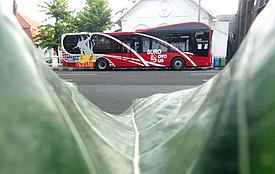 Suroboyo Bus, Transportasi Ramah Lingkungan