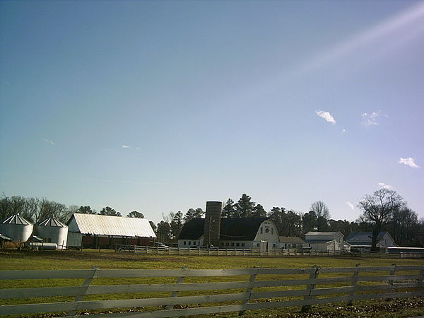 Farm in Surry County