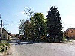 Common in Svojetice