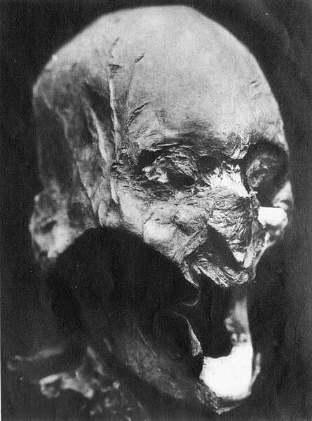 File:Tête momifiée détenue en 1933 par Joseph-Émile Bourdais.jpg