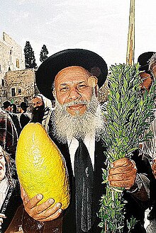 Jewish Yemenite man with a lulav and etrog. Jerusalem. THE HOLIDAY OF SUCCOT IN JERUSALEM.jpg