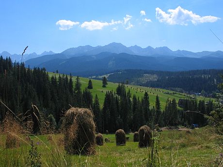 Tatranská Bukovina