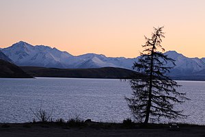 Lake Tekapo