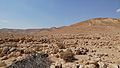 "Temples boulevard" at the foot of Har Karkom ridge, Israel