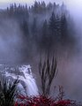 The mists of Snoqualmie one fall morning (3119352293).jpg