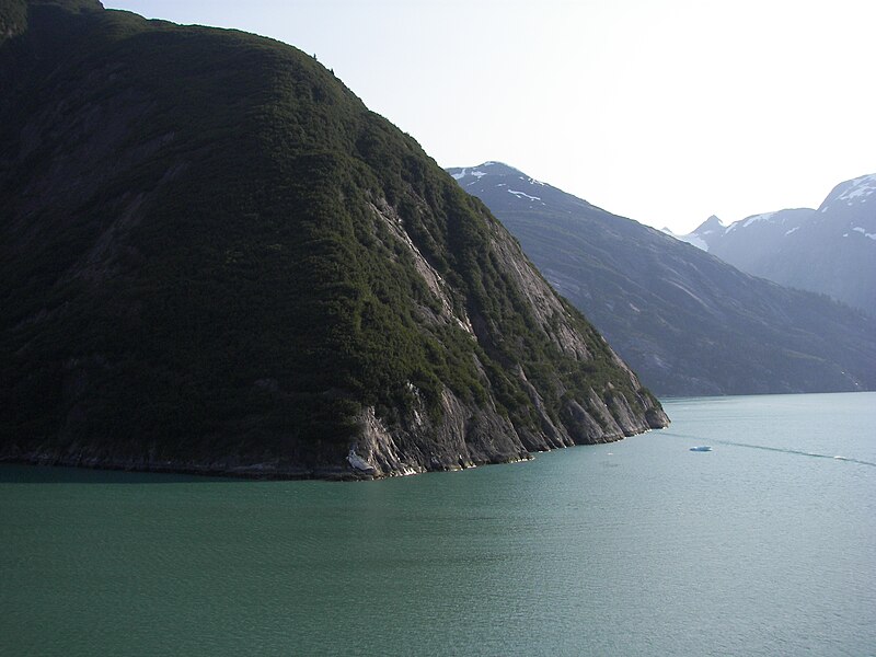 File:Tracy Arm coast 76.jpg