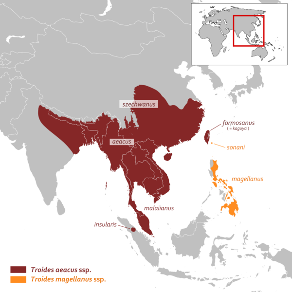 File:Troides aeacus and T. magellanus distribution map.png