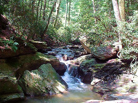 Tucquan Creek Tucquan Creek Waterfall and Pool.jpg