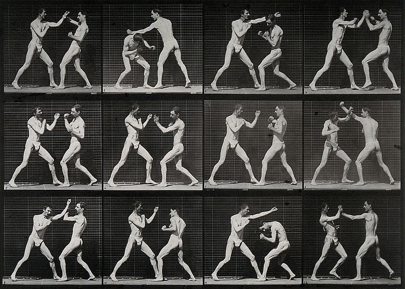 File:Two men boxing. Photogravure after Eadweard Muybridge, 1887. Wellcome V0048677.jpg